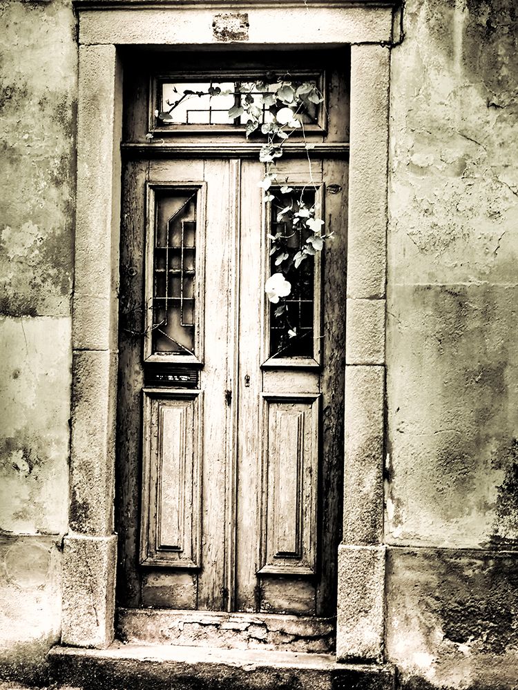 Portugal-Aveiro-Old doorways in the city